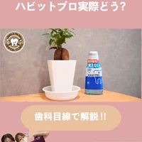 画像469