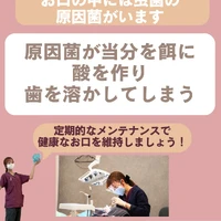画像526
